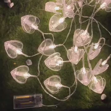 Heart Shaped Led Lights